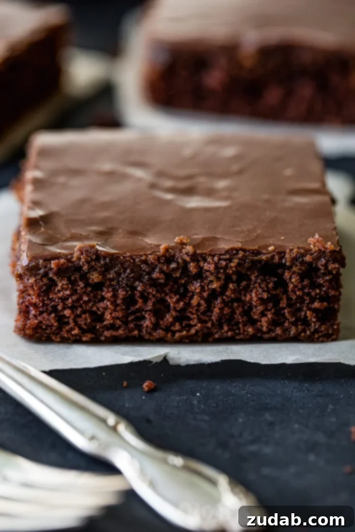 A beautifully frosted full Chocolate Texas Sheet Cake, ready to be served, promising a rich and indulgent experience.