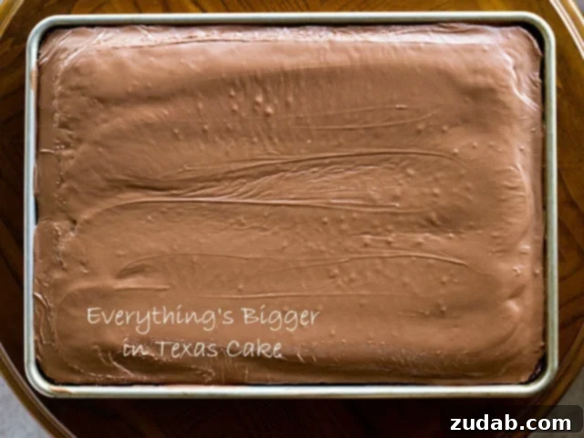 A stunning close-up shot of a whole sheet pan of freshly frosted chocolate Texas sheet cake, inviting you to take a bite.