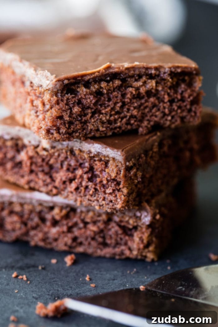 A delectable slice of classic chocolate Texas sheet cake, showcasing its moist crumb and rich, cooked chocolate frosting.