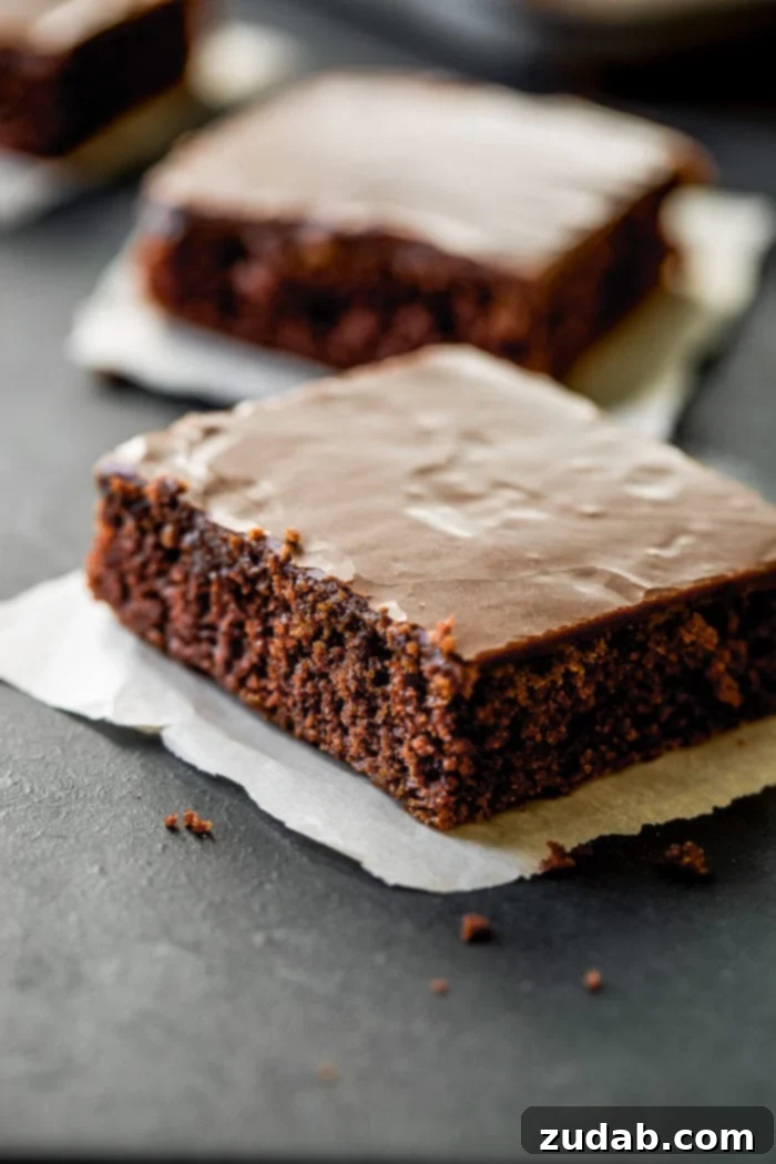 The classic chocolate Texas sheet cake with its signature cooked chocolate frosting, a perfect dessert for any occasion.