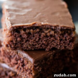 The classic chocolate sheet cake with a cooked chocolate frosting