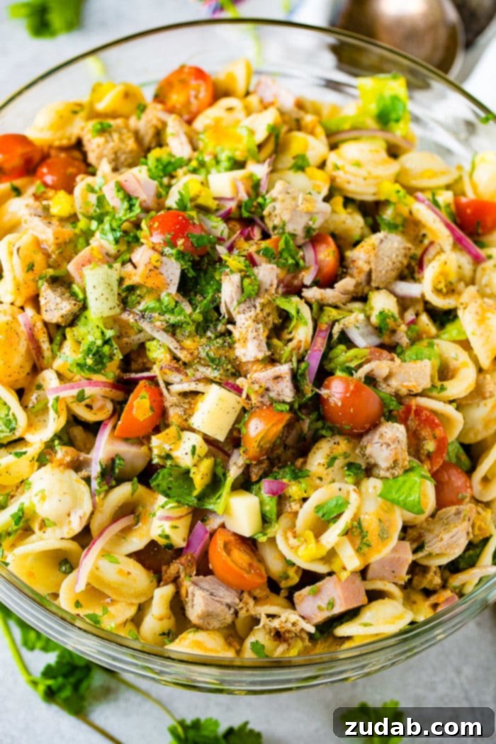 Cuban Pasta Salad 2 A photo of a cuban pasta salad with pork, ham, cubed swiss cheese, tomatoes, purple onions, and fresh herbs.