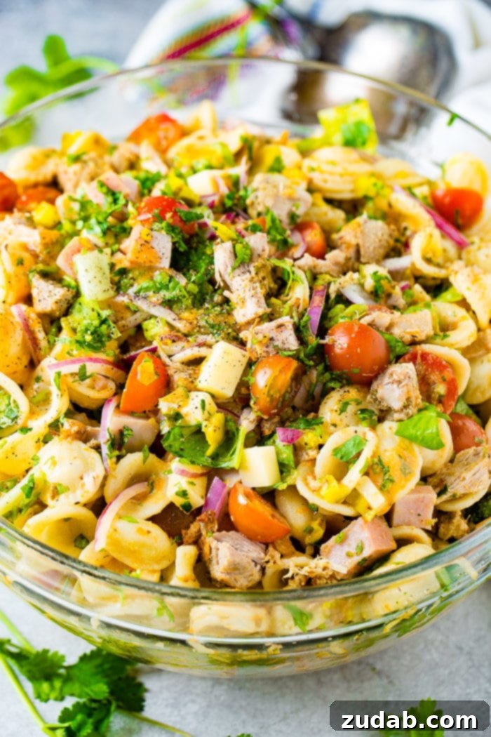 Cuban Pasta Salad 6 A photo of a cuban pasta salad with pork, ham, cubed swiss cheese, tomatoes, purple onions, and fresh herbs.