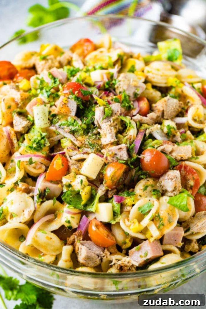 Cuban Pasta Salad 7 A photo of a cuban pasta salad with pork, ham, cubed swiss cheese, tomatoes, purple onions, and fresh herbs.