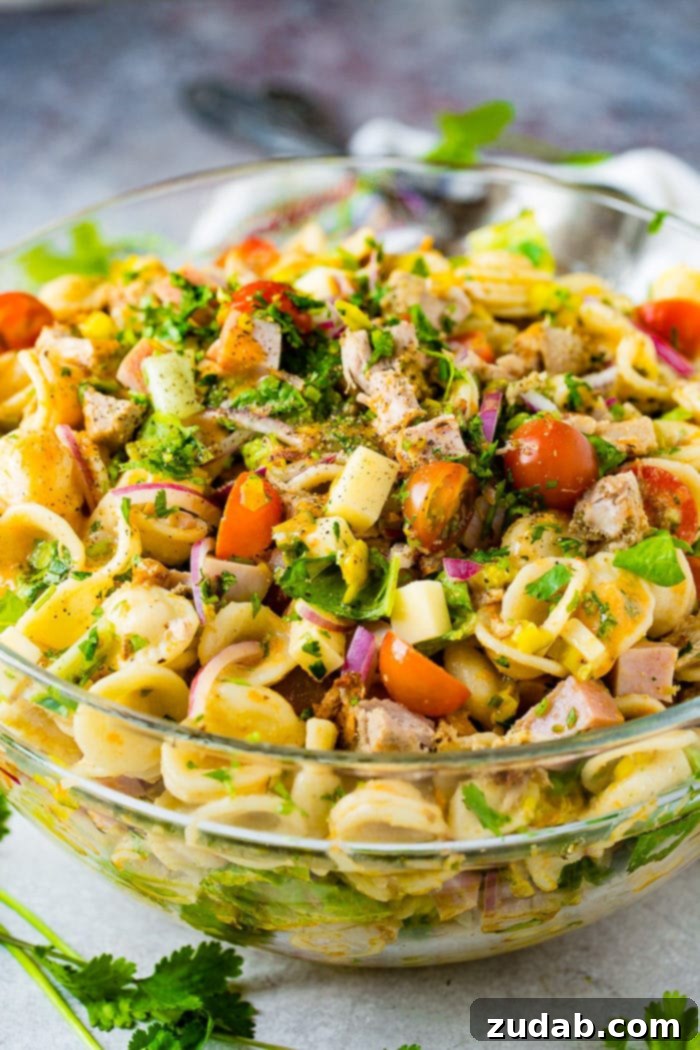 Cuban Pasta Salad 8 A photo of a cuban pasta salad with pork, ham, cubed swiss cheese, tomatoes, purple onions, and fresh herbs.