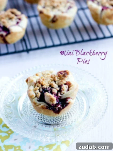 Dainty Blackberry Delights 2 Freshly baked mini blackberry pies in a muffin tin, showcasing a golden crumb topping.