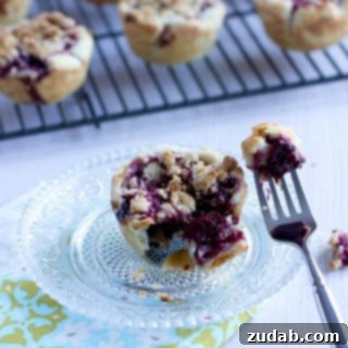 Dainty Blackberry Delights 4 Ingredients for mini blackberry pies laid out, including fresh blackberries and pie crust.