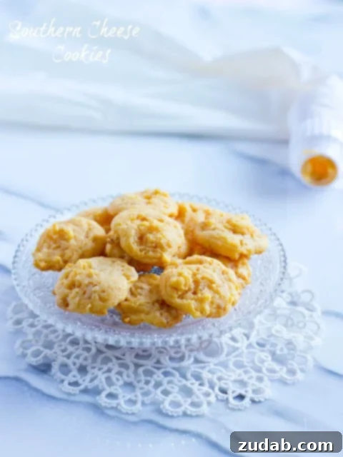 Southern Cheesy Bites 2 Delicious Southern Cheese Crackers