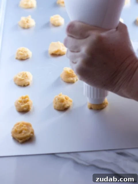 Southern Cheesy Bites 3 Southern Cheese Crackers ready to bake