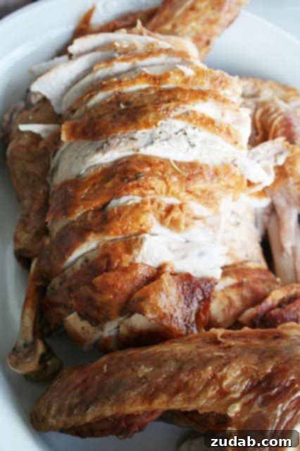 Southern Fried Turkey 2 Indoor Electric Turkey Fryer in a kitchen setting, ready for use.