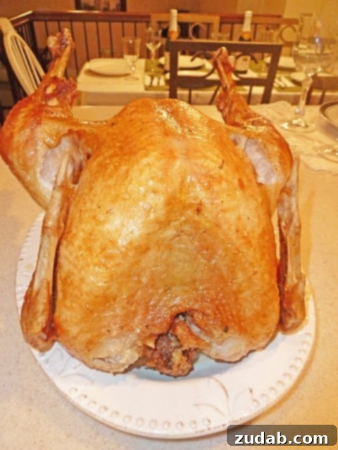 Southern Fried Turkey 4 Butterball Indoor Electric Turkey Fryer with safety features highlighted.