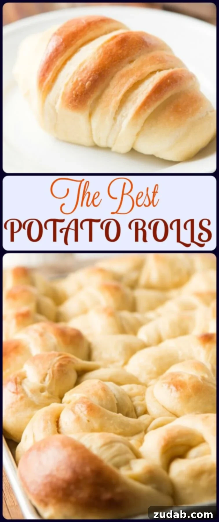 Golden brown, incredibly soft no-knead potato rolls arranged beautifully on a baking sheet, ready to be served. A top-requested recipe.
