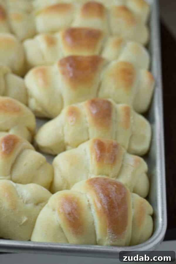 An appetizing overhead shot of a fresh batch of potato rolls, scattered with herbs, highlighting their perfect golden finish.