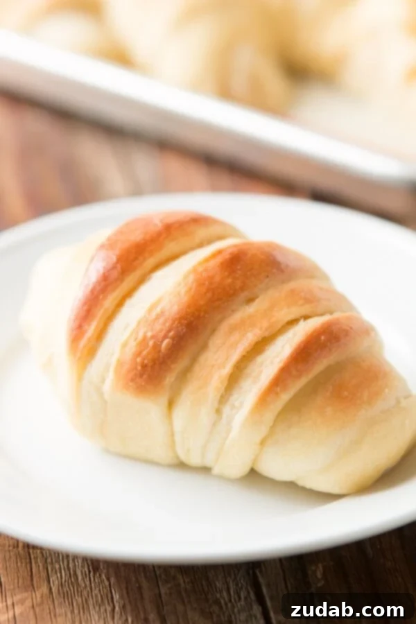 A close-up shot of several freshly baked potato rolls, showcasing their fluffy interior and golden crust, inviting a bite.
