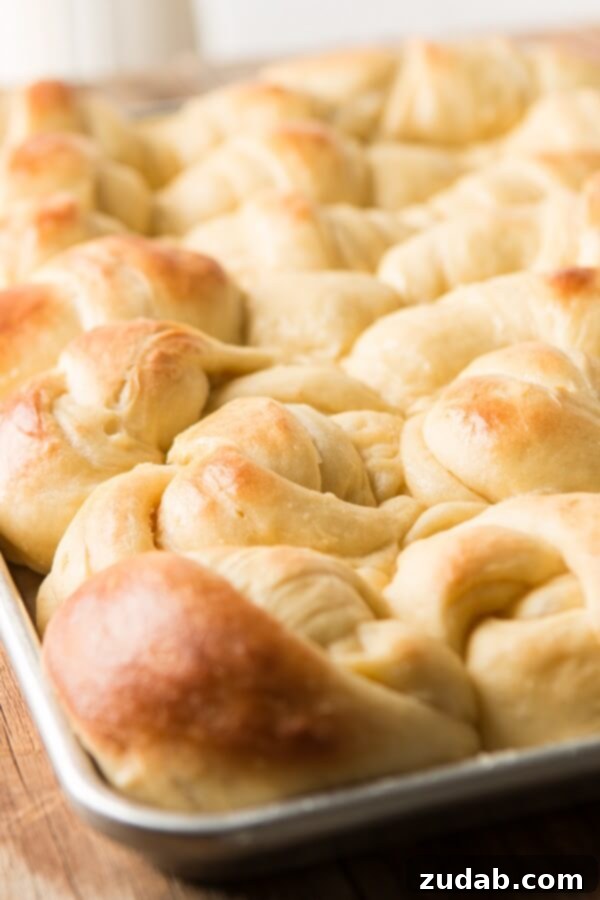 A large baking tray brimming with golden-brown, knotted potato rolls, fresh from the oven and glistening with butter.