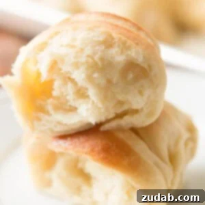 Our famous no-knead potato rolls recipe, soft and buttery.
