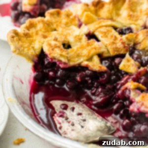 Effortless Blueberry Pie 11 A beautifully baked blueberry pie, ready to be served.
