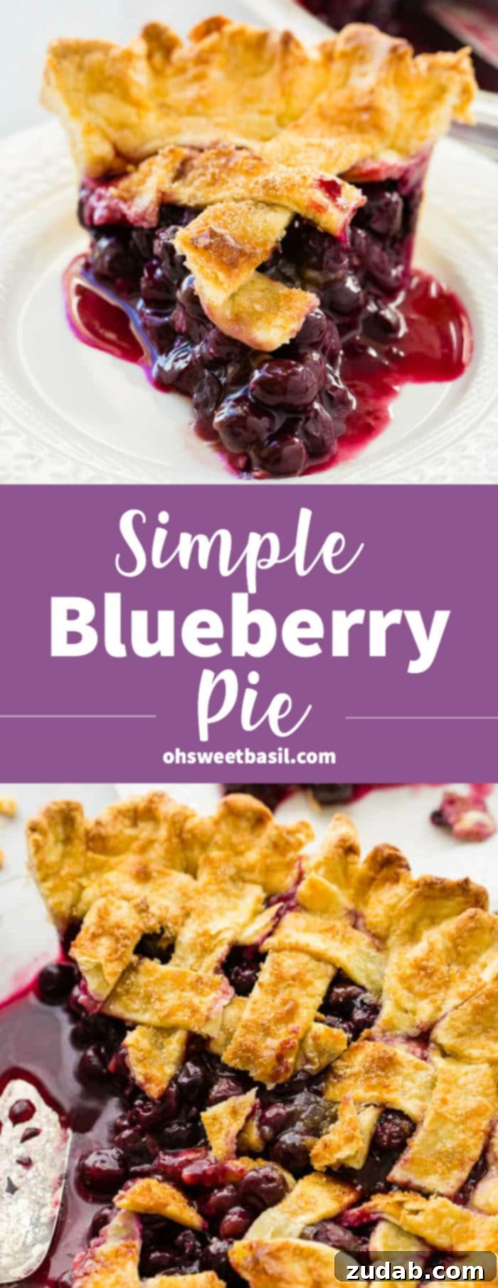 Effortless Blueberry Pie 12 A photo of a slice of blueberry pie on a white plate, ready to be enjoyed.