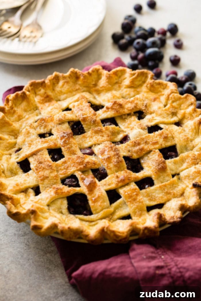 Effortless Blueberry Pie 6 A photo of a blueberry pie with a lattice top and beautifully golden crust.