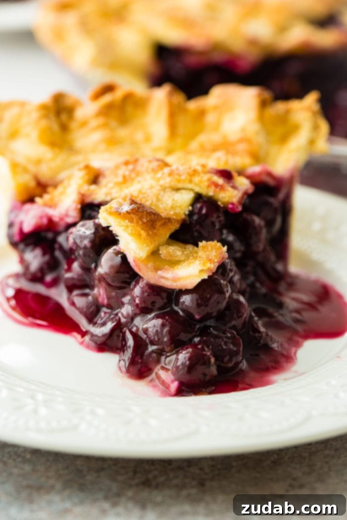 Effortless Blueberry Pie 8 A photo of a slice of blueberry pie on a white plate.