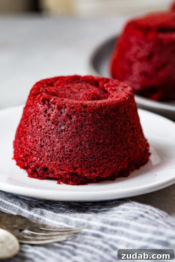 A single red velvet molten lava cake resting on a pristine white plate, showcasing its deep crimson hue and delicate, inviting texture.