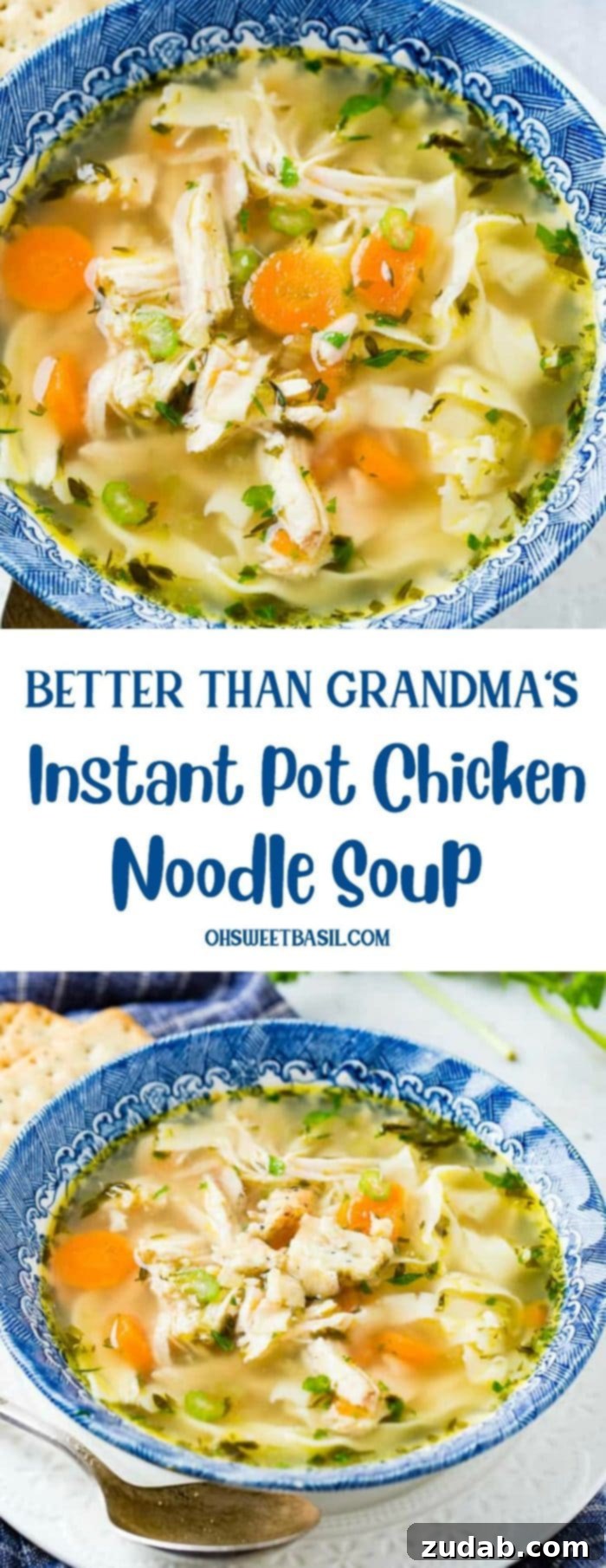A beautifully presented bowl of Instant Pot Chicken Noodle Soup, steaming gently, inviting viewers to indulge in its comforting goodness. This photo captures the essence of a perfect homemade meal.