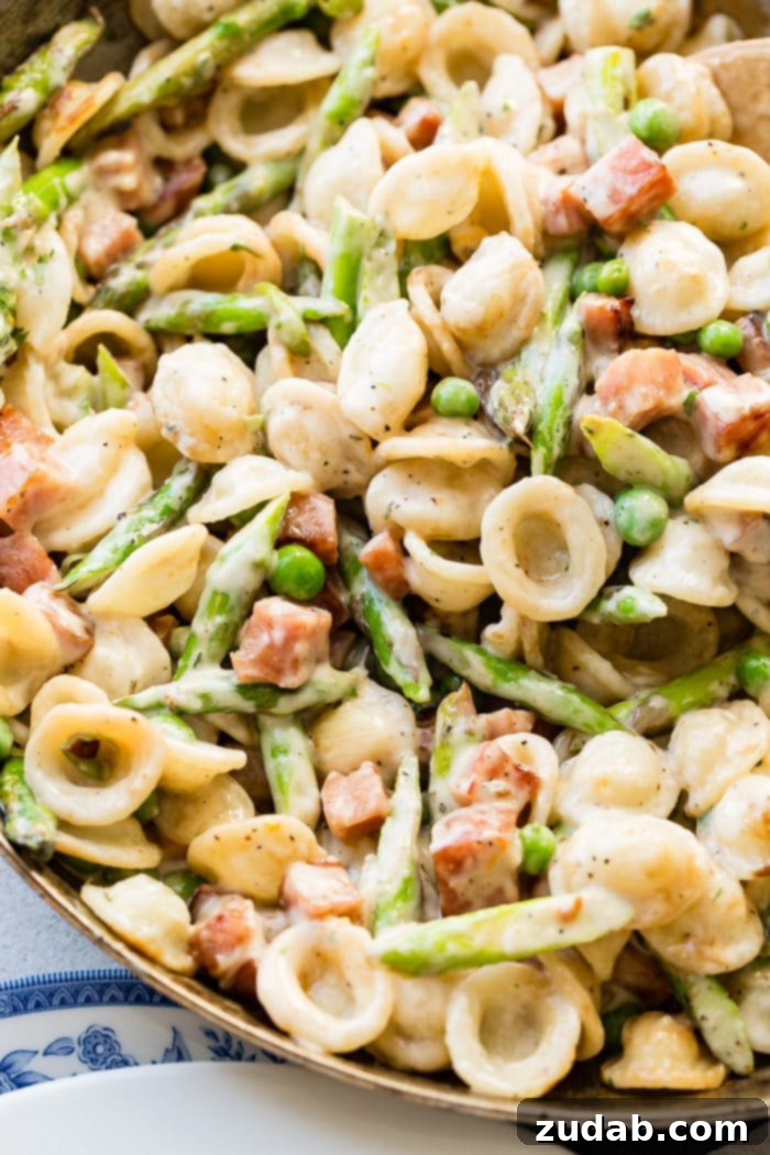 Close-up of orecchiette pasta, cubed ham, peas, and asparagus coated in a zesty lemon cream sauce.
