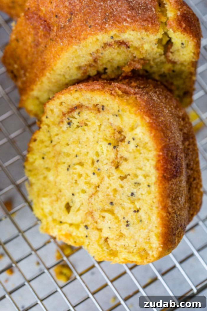 Citrus Spice Poppy Seed Bundt 2 A photo of a slice of cinnamon lemon poppy seed bundt cake sitting on a wire cooling rack, highlighting its moist texture and golden-brown crust.
