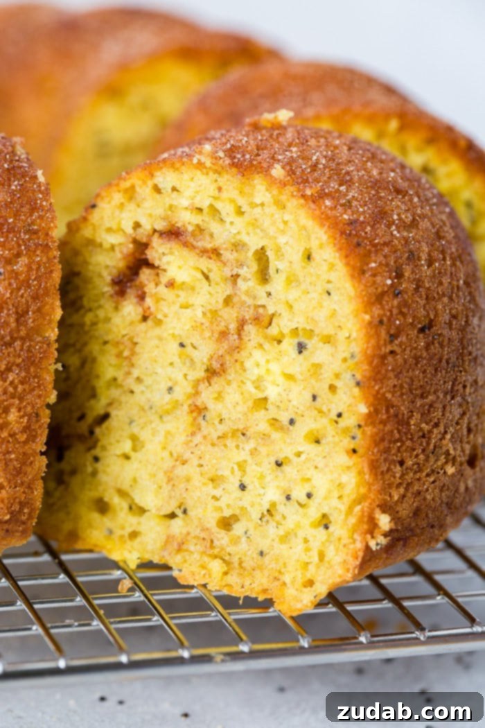 Citrus Spice Poppy Seed Bundt 3 A close-up photo of a slice of moist cinnamon lemon poppy seed bundt cake with poppy seeds visible, served on a wire cooling rack.