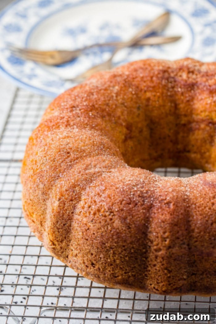 Citrus Spice Poppy Seed Bundt 4 A photo of a whole cinnamon lemon poppy seed bundt cake cooling on a wire rack, showcasing its beautiful fluted design.