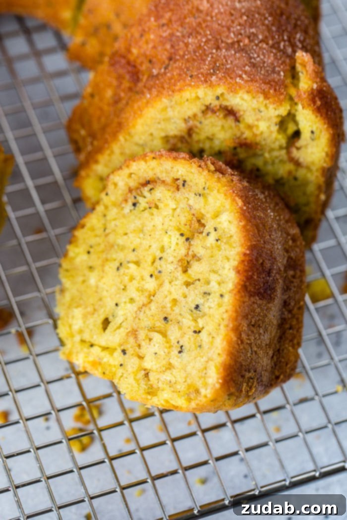 Citrus Spice Poppy Seed Bundt 5 A detailed close-up photo of a slice of cinnamon lemon poppy seed bundt cake, showing the visible poppy seeds and the swirl of cinnamon sugar.