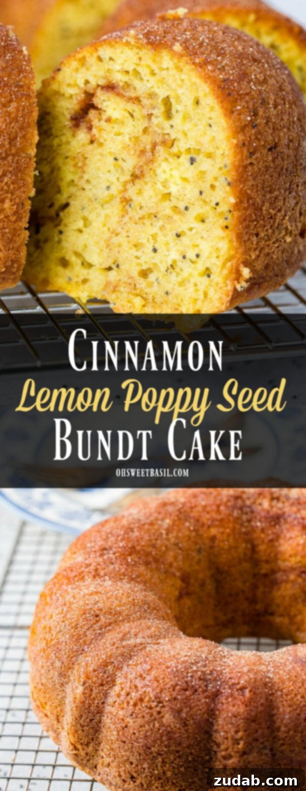 Citrus Spice Poppy Seed Bundt 7 A full view of a slice of cinnamon lemon poppy seed bundt cake, showcasing its delicate crumb and rich color, placed on a wire rack.