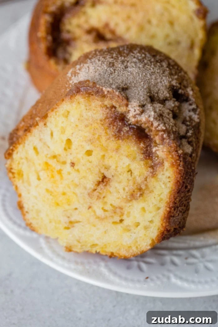 Golden Brown Sugar Cinnamon Bundt Cake 2 A delightful slice of brown sugar cinnamon bundt cake, featuring a glistening cinnamon sugar topping and captivating swirls of rich brown sugar and warm cinnamon within its moist crumb.