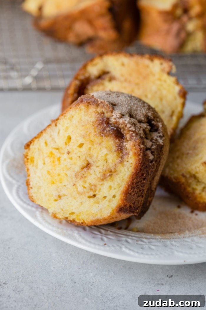 Golden Brown Sugar Cinnamon Bundt Cake 5 A beautifully textured slice of brown sugar cinnamon bundt cake, featuring rich brown sugar swirls and a perfect cinnamon sugar crust, ready to be enjoyed.