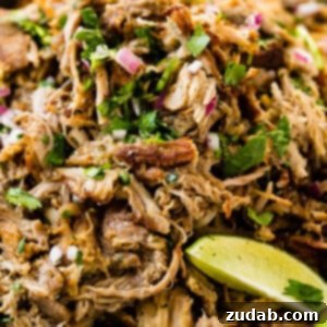 Crispy Tender Pork Carnitas Recipe 9 The Best Pork Carnitas
