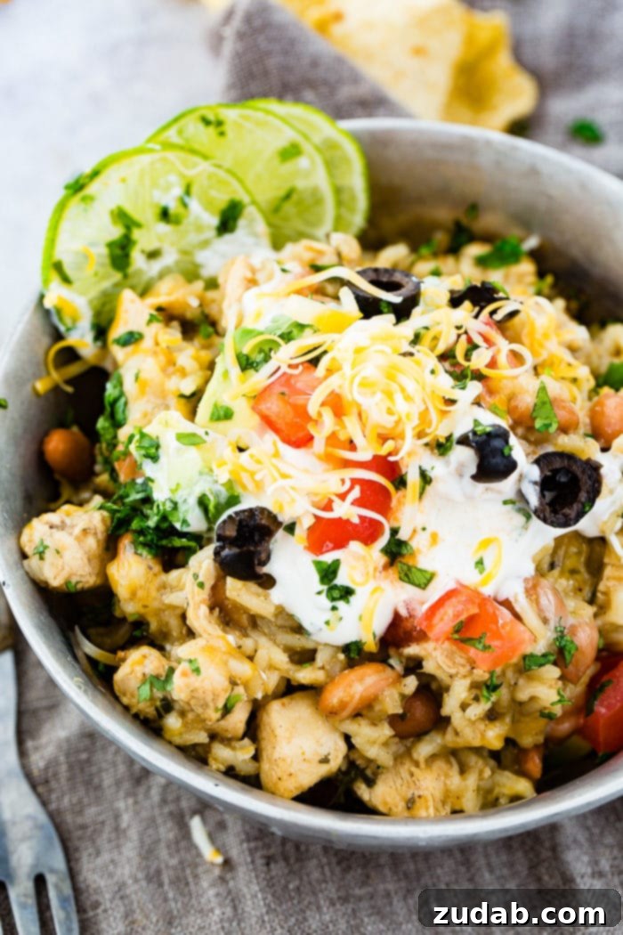 A photo of a silver bowl full of cilantro lime chicken and rice with pinto beans topped with sour cream, sliced olives, grated colby jack cheese, chopped fresh cilantro and slices of lime.