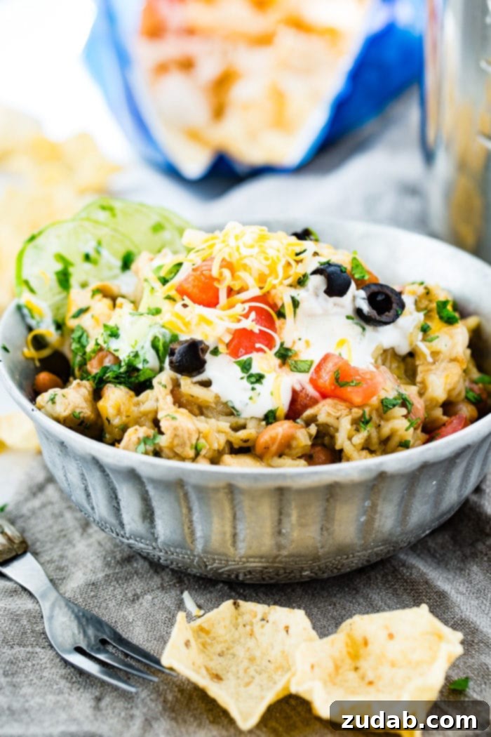 A photo of a silver bowl full of cilantro lime chicken and rice with pinto beans topped with sour cream, sliced olives, grated colby jack cheese, chopped fresh cilantro and slices of lime.