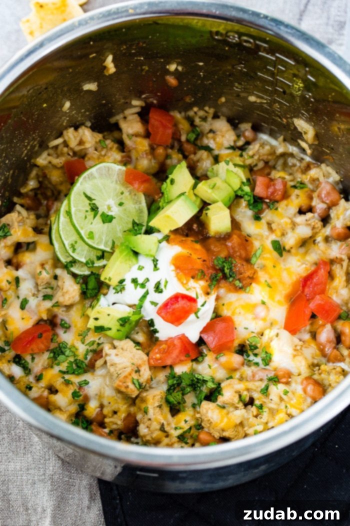 A photo of cilantro lime chicken and rice with pinto beans in an Instant Pot topped with melted colby jack cheese, diced tomatoes, sour cream, chunks of avocado, chopped fresh cilantro, and slices of lime.