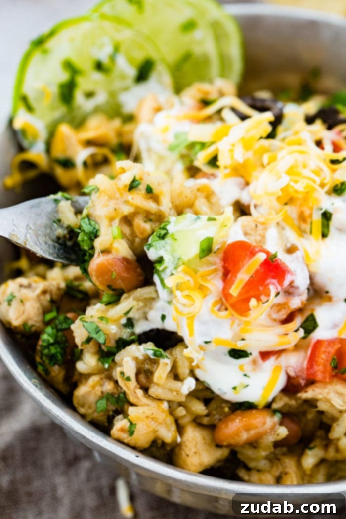 A closeup photo of a silver bowl full of cilantro lime chicken and rice with pinto beans topped with sour cream, sliced olives, grated colby jack cheese, chopped fresh cilantro and slices of lime.
