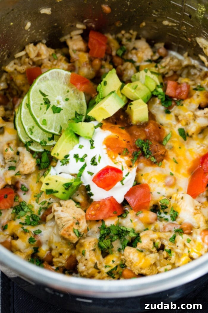 A photo of cilantro lime chicken and rice with pinto beans in an Instant Pot topped with melted colby jack cheese, diced tomatoes, sour cream, chunks of avocado, chopped fresh cilantro, and slices of lime.