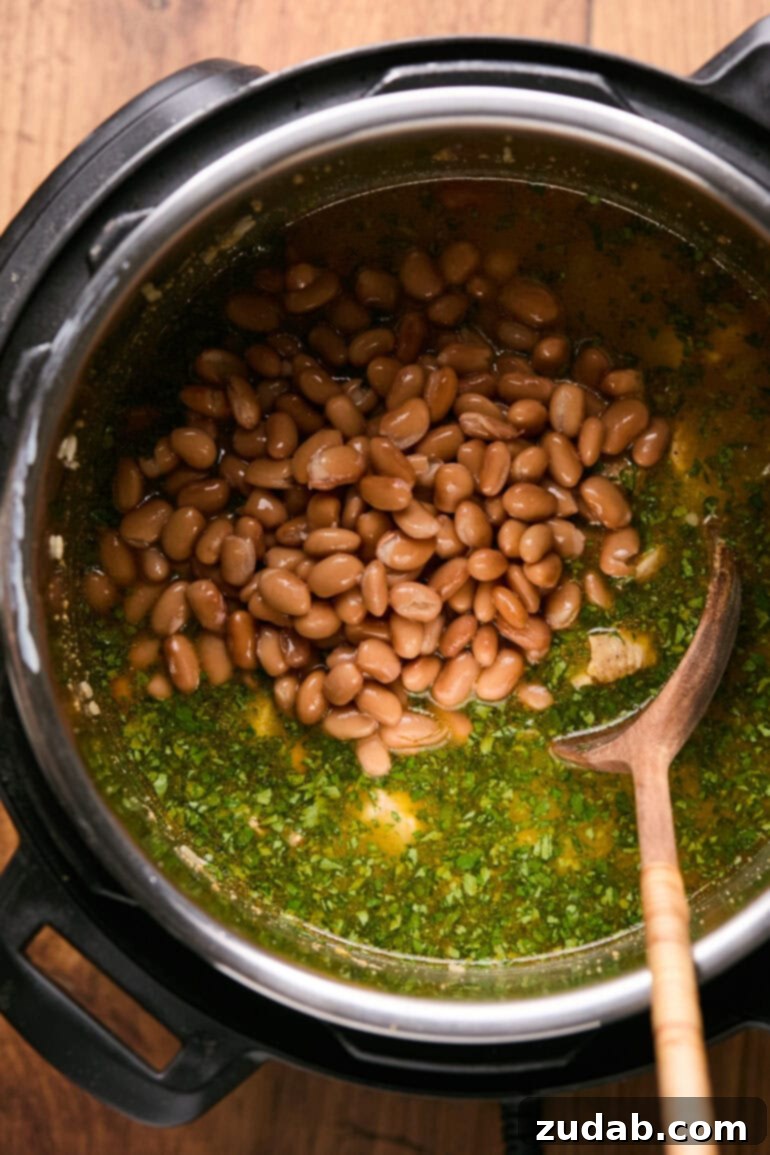 img 50478 7