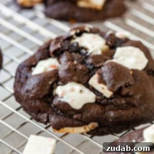 Chocolate Peppermint Cookies