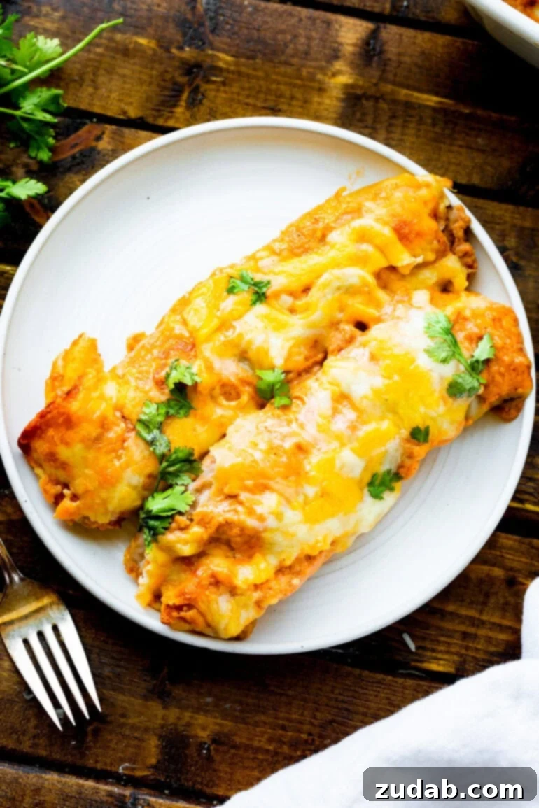 Seriously Simple Bean and Cheese Enchiladas 2 A photo of two bean and cheese enchiladas smothered in melty cheese on a white dinner plate, garnished with fresh cilantro.