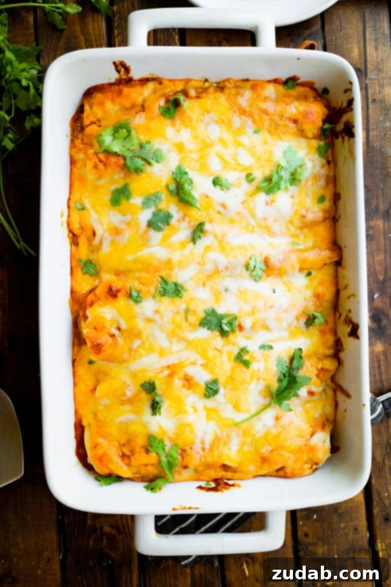 Seriously Simple Bean and Cheese Enchiladas 3 A photo of a full 9x13 baking dish full of baked bean and cheese enchiladas topped with melted cheese and chopped cilantro.