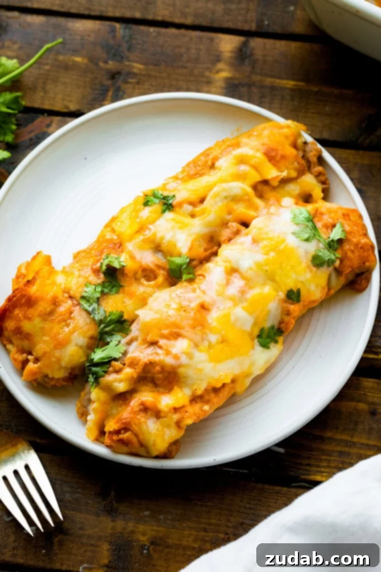 Seriously Simple Bean and Cheese Enchiladas 5 A photo of two bean and cheese enchiladas sitting on a white dinner plate, garnished with fresh cilantro and a dollop of sour cream.