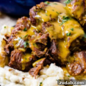 Instant Pot Carolina Gold Beef Short Ribs 6 A photo of beef short ribs smothered in mustard Carolina BBQ sauce over a pile of mashed potatoes.