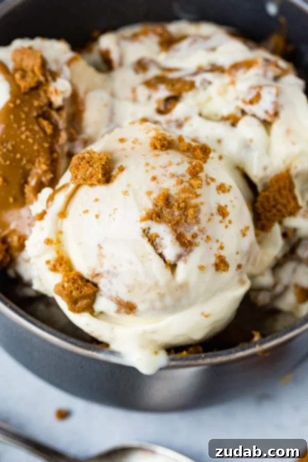 Indulgent Homemade Biscoff Cookie Butter Ice Cream 2 A photo of several scoops of Biscoff cookie butter homemade ice cream in a dark gray bowl with cookie crumbles all over the top.