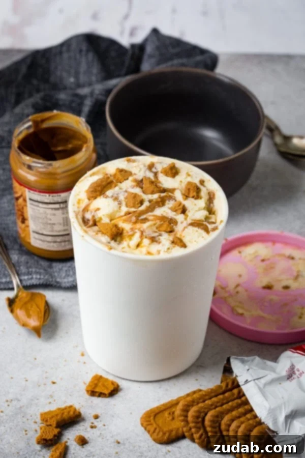 Indulgent Homemade Biscoff Cookie Butter Ice Cream 3 A photo of a container of biscoff cookie butter homemade ice cream with a jar of cookie butter next to it and a spoonfull of cookie butter right beside it.