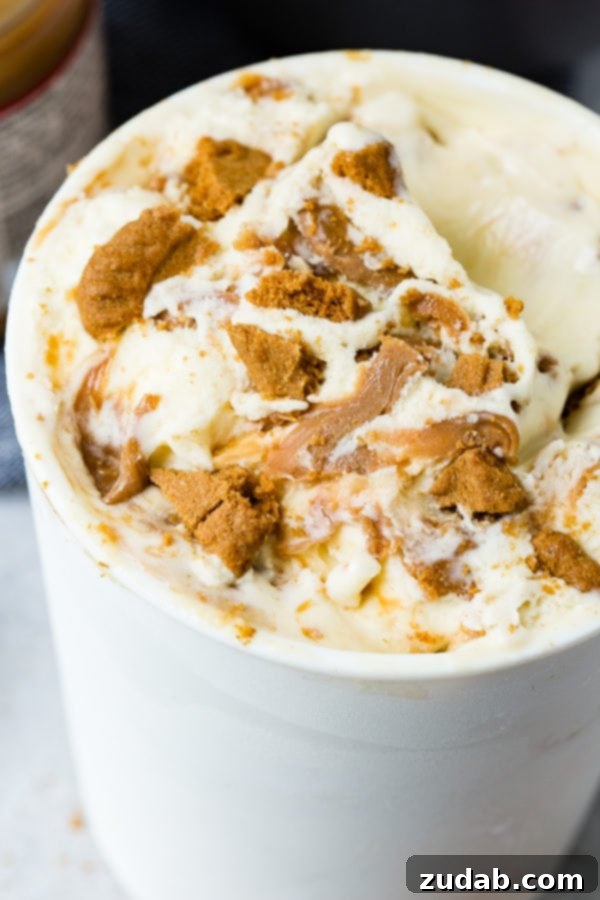Indulgent Homemade Biscoff Cookie Butter Ice Cream 4 A photo of a container full of biscoff cookie butter homemade ice cream.