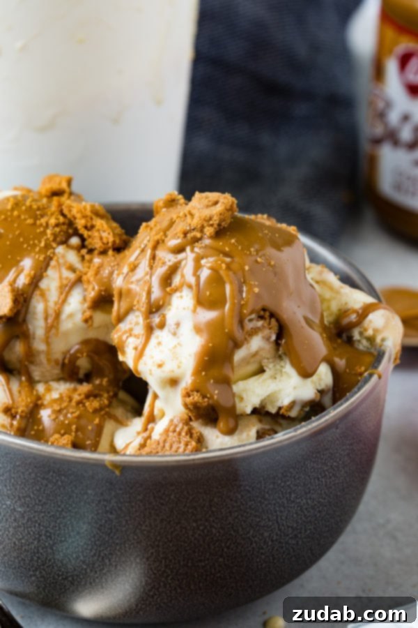 Indulgent Homemade Biscoff Cookie Butter Ice Cream 5 A photo of several scoops of Biscoff cookie butter homemade ice cream in a dark gray bowl with cookie crumbles and melted cookie butter all over the top.